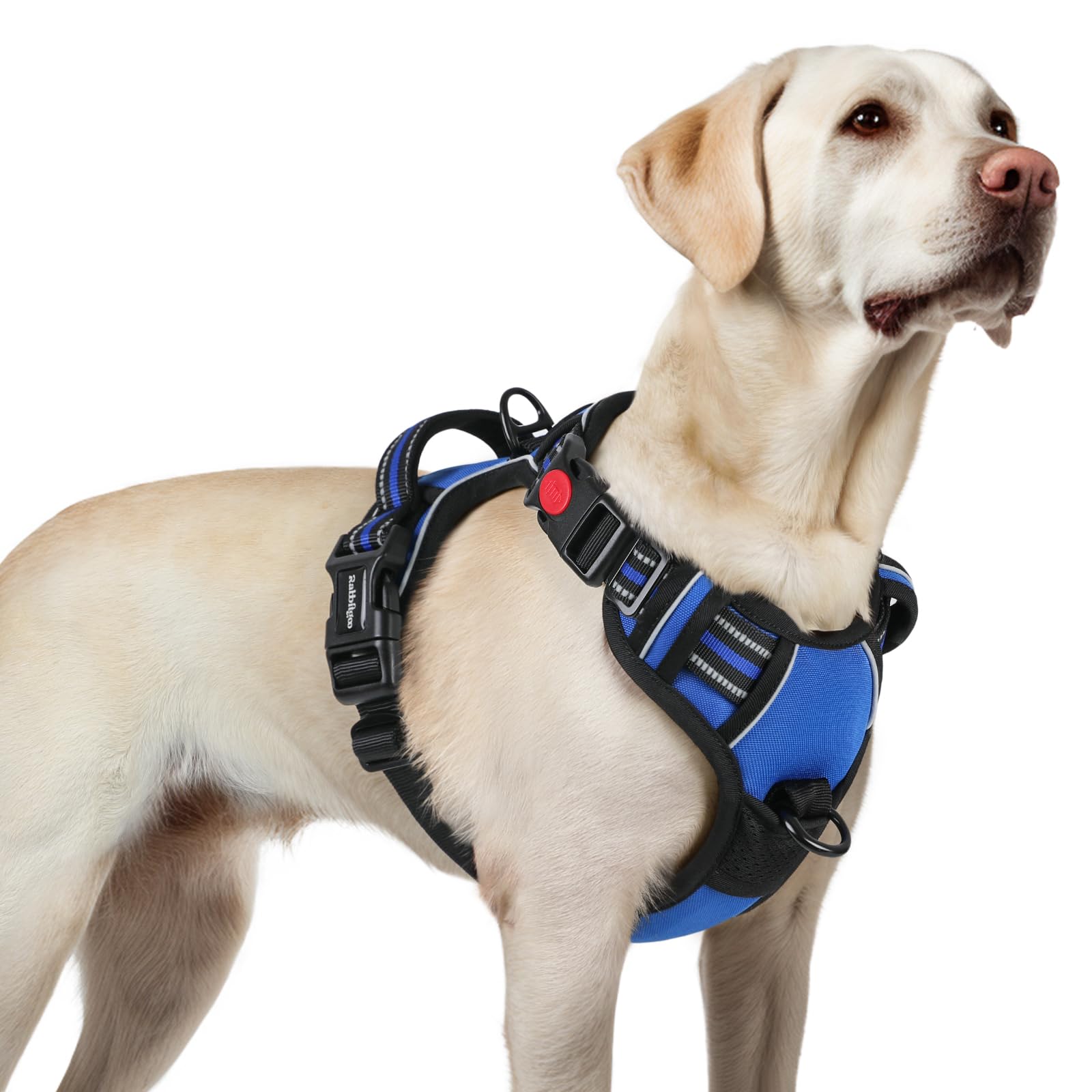 Rabbitgoo large no-pull harness front view with secure 3-buckle design