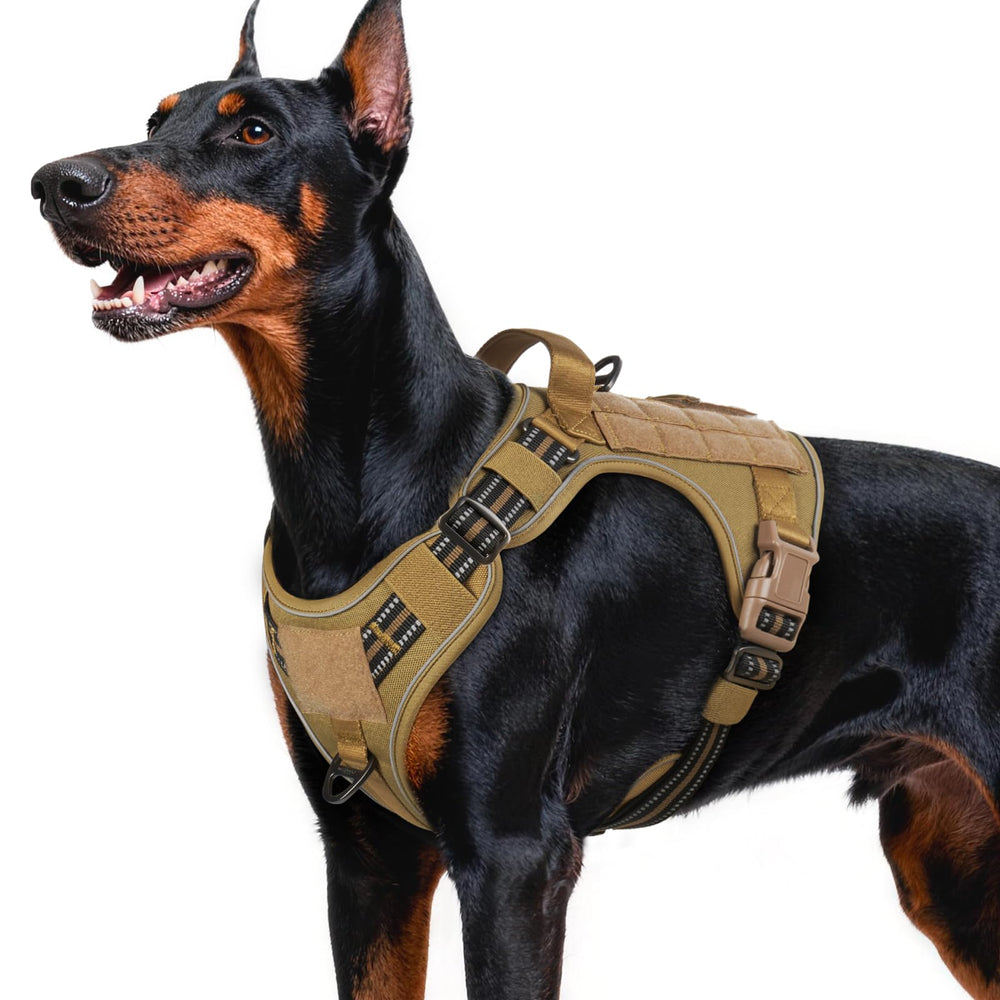 Rabbitgoo dog harness front view with no-pull design and reflective trim for safer walks.