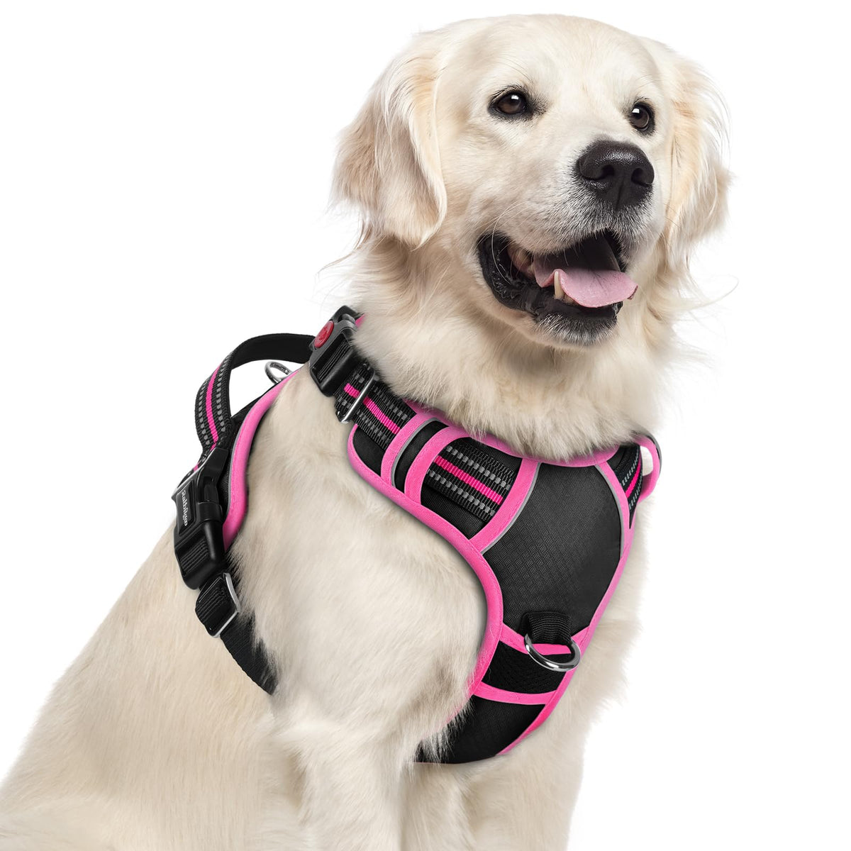 Rabbitgoo large dog harness with no-pull design for comfortable walks.