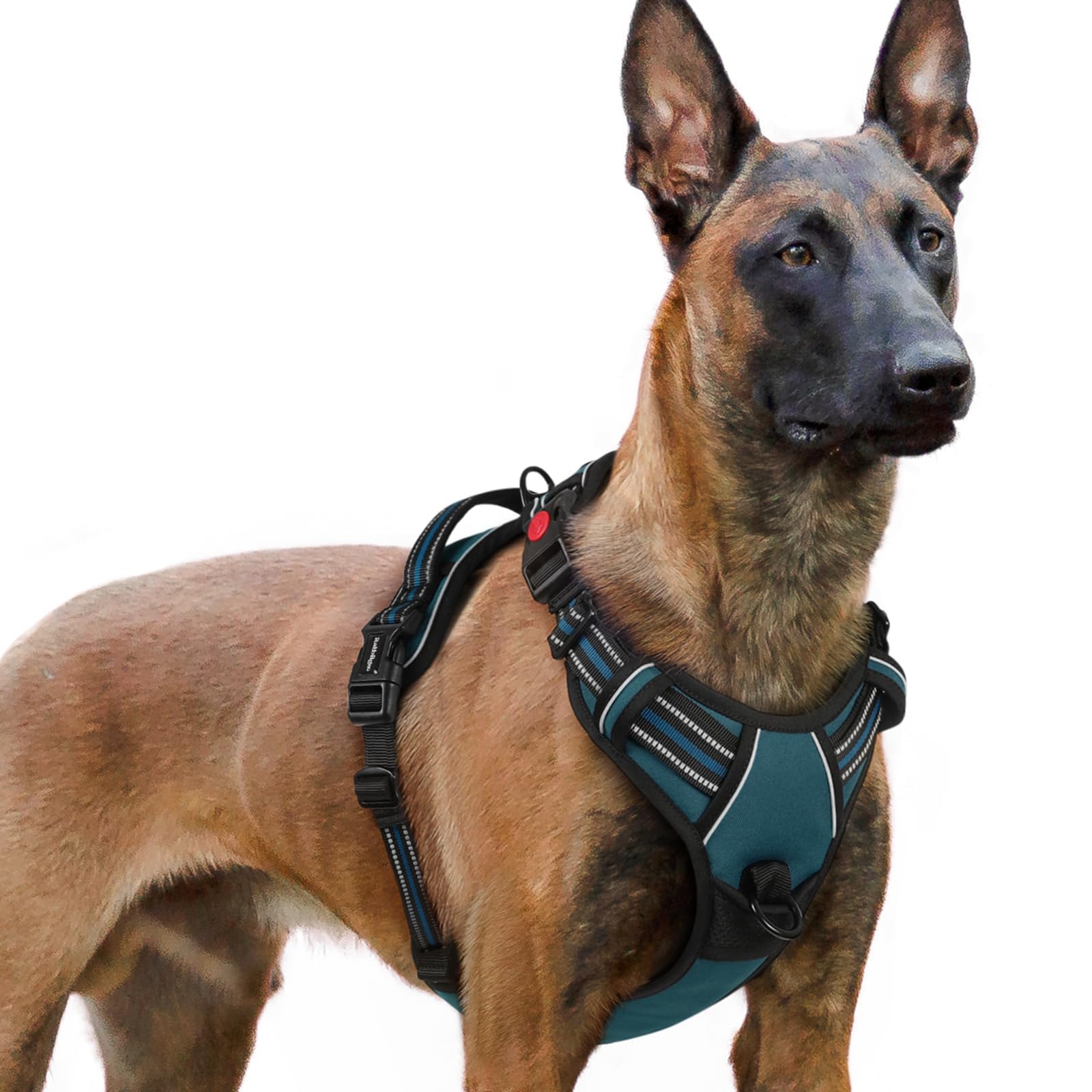 Rabbitgoo large dog harness with three buckles for quick on-off and secure fit.