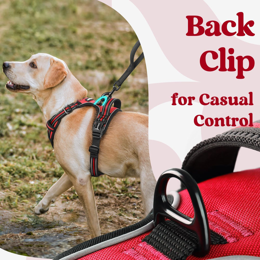 Rabbitgoo top-handle provides easy control on large dogs.