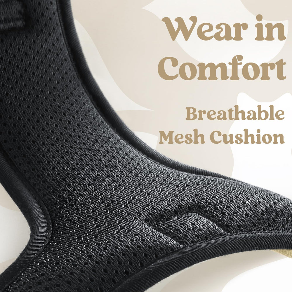 Rabbitgoo dual leash attachment points support various activities.