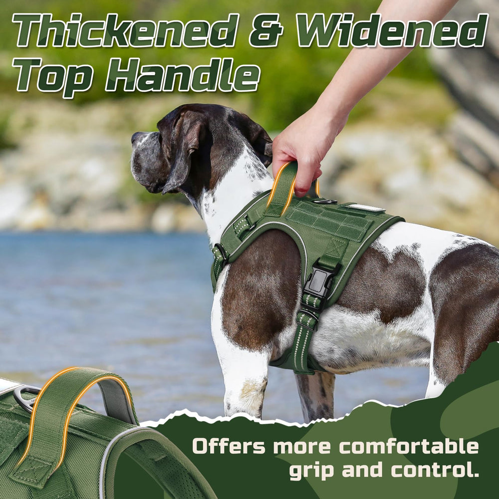 Rabbitgoo secure metal leash attachments for versatile walking and training setups.