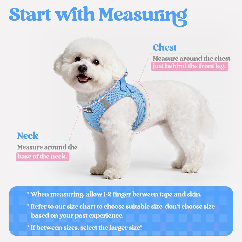 Rabbitgoo dog harness leash set with blue plaid trim improves visibility on walks