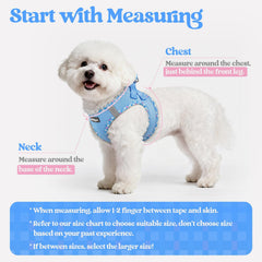 Rabbitgoo dog harness leash set with blue plaid trim improves visibility on walks