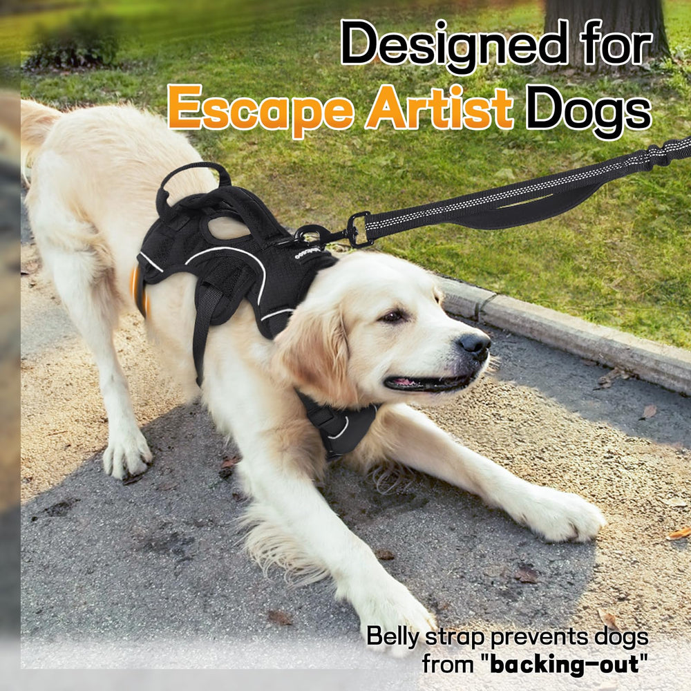 Rabbitgoo harness with lift handle provides easy obstacle assistance.