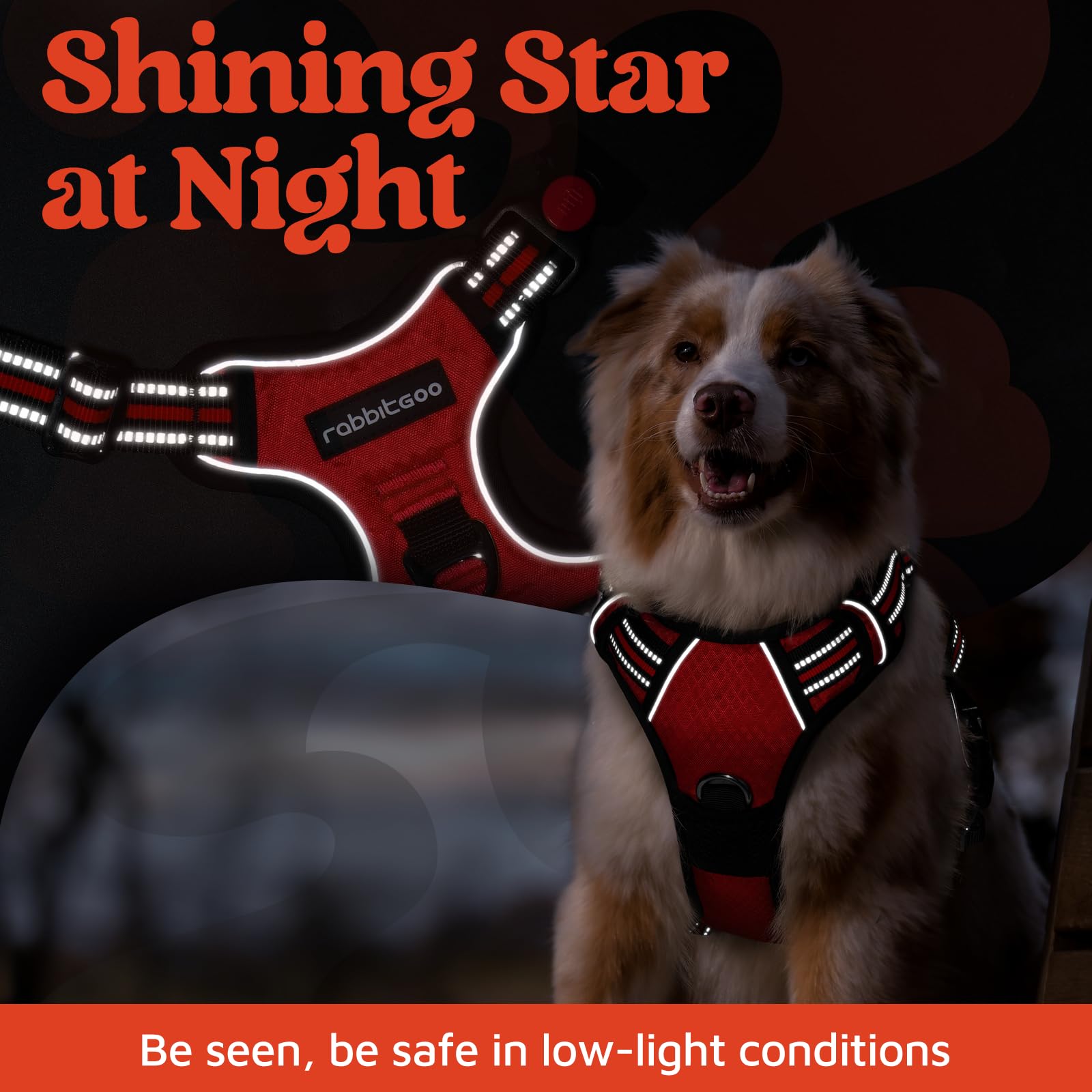 Rabbitgoo harness neck buckle with lockable button for added security.