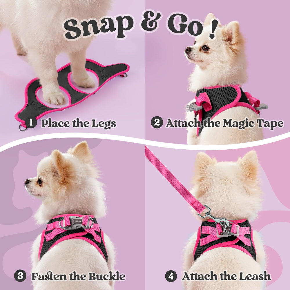 Rabbitgoo harness M breathable mesh keeps dogs cool during walks.
