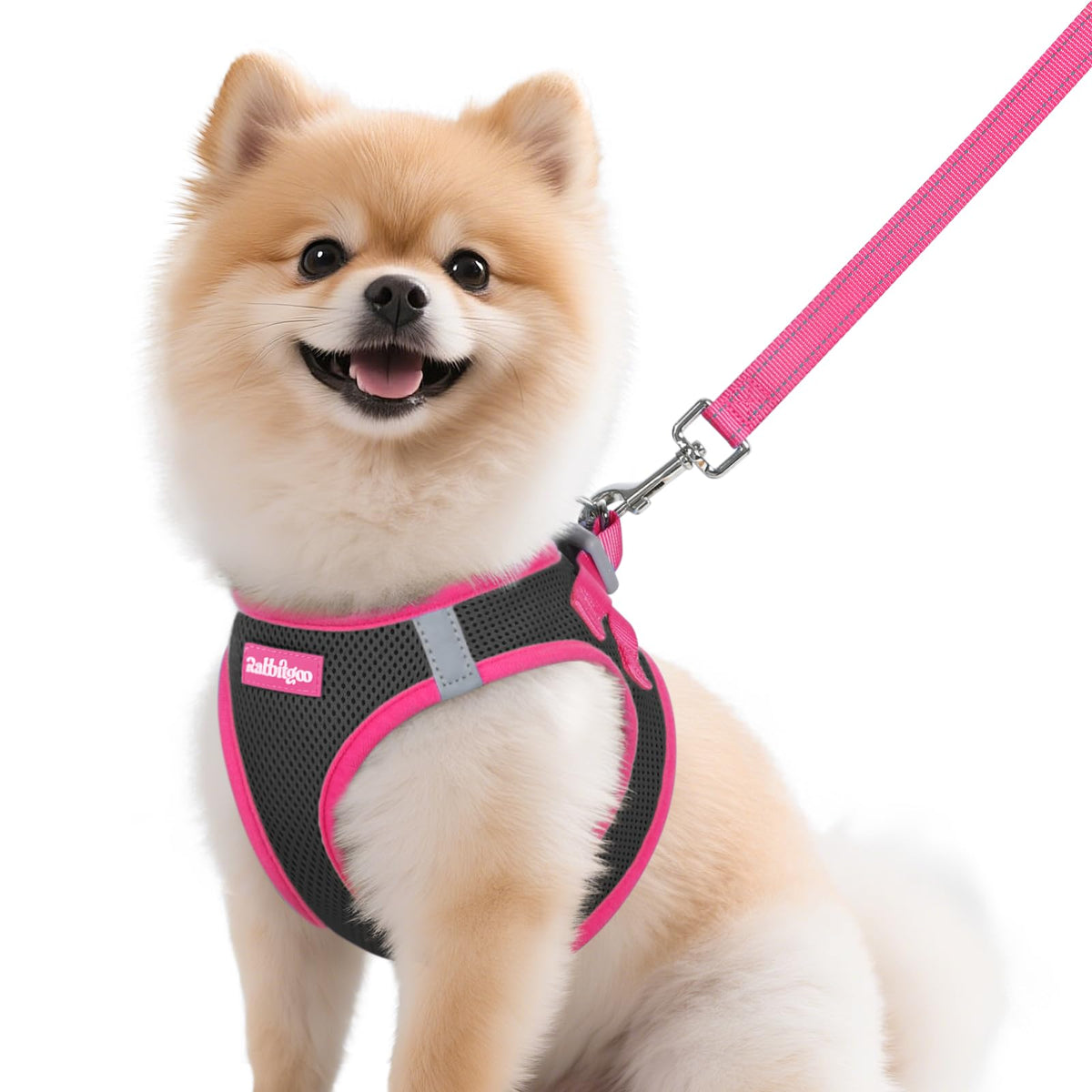 Rabbitgoo dog harness M step-in design for easy on/off.