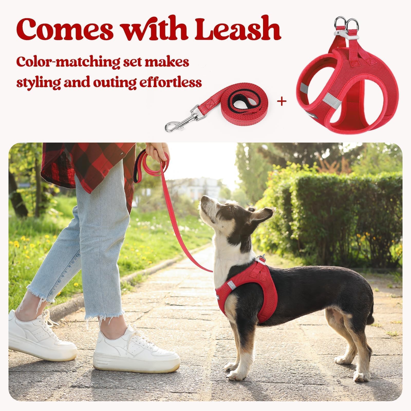 Rabbitgoo magic tape and buckle closure securing the harness