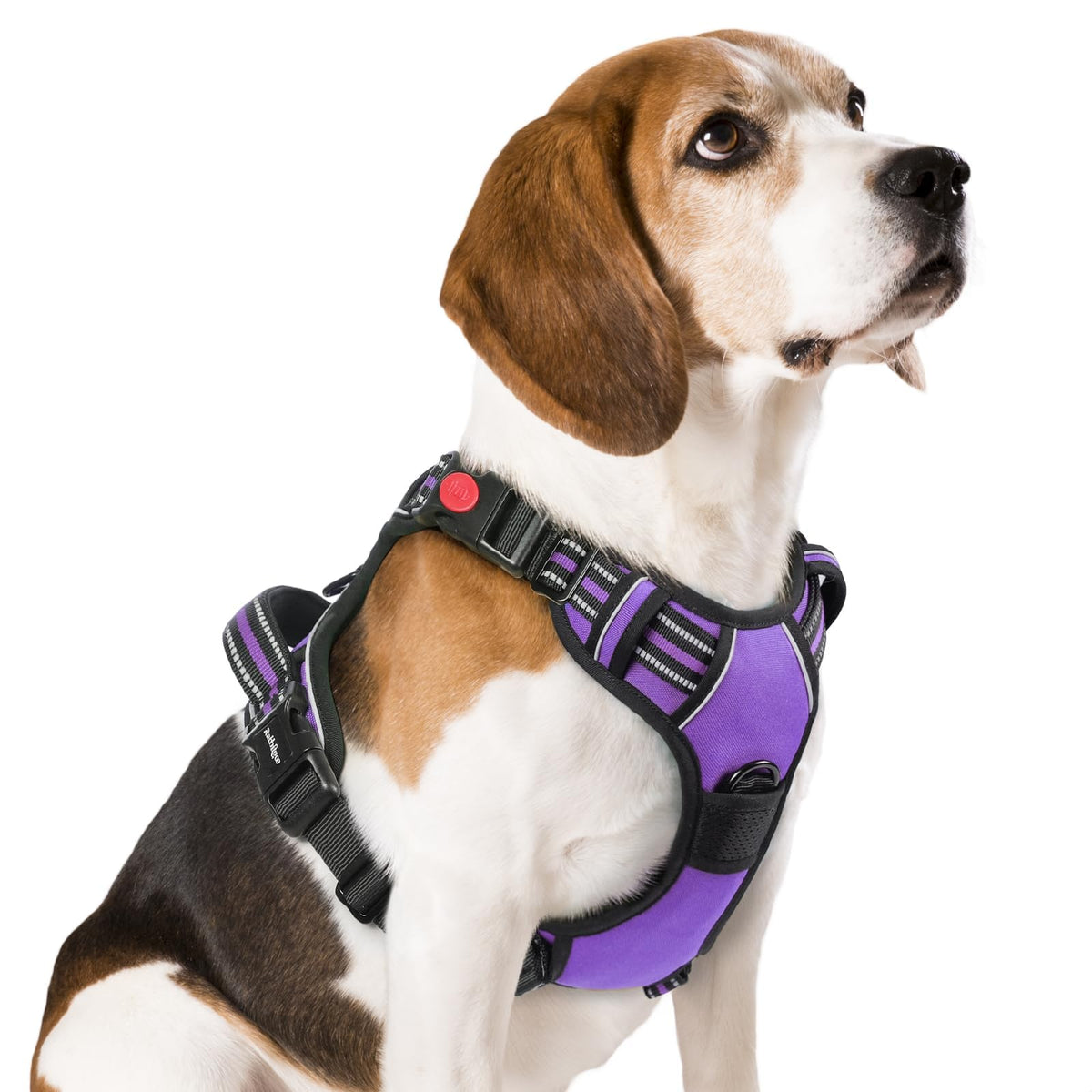 Rabbitgoo medium harness with three buckles for quick, secure wear.