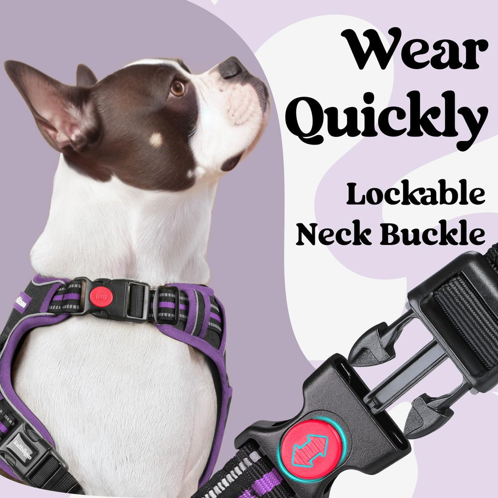 Rabbitgoo adjustable 4-strap fit ensures comfort as your dog grows.