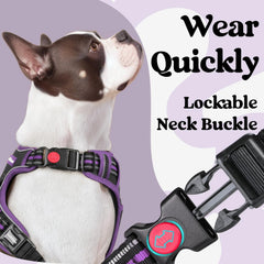 Rabbitgoo adjustable 4-strap fit ensures comfort as your dog grows.