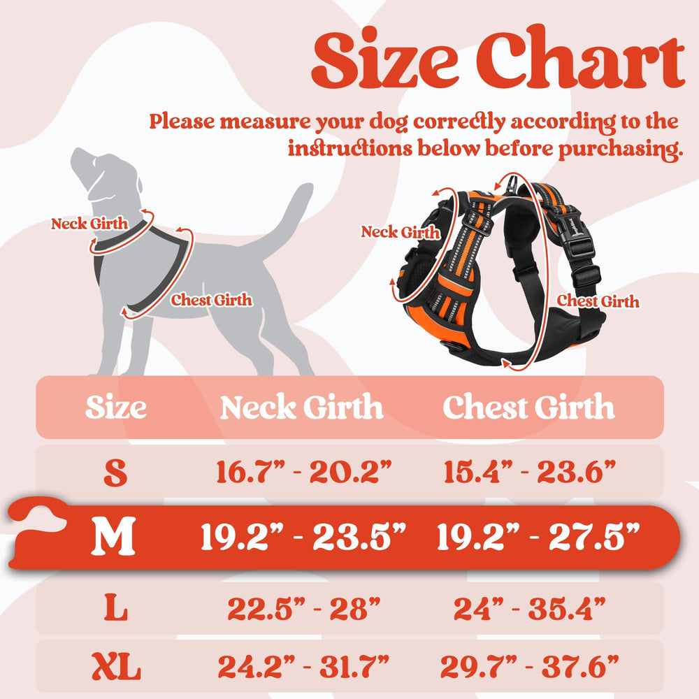 Rabbitgoo harness adjustable straps enable a snug, growth-ready fit during daily walks.