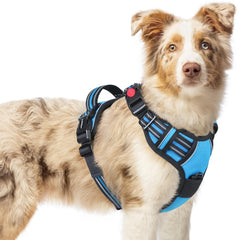 Rabbitgoo dog harness adjustable straps provide a snug fit for growing dogs during daily walks.