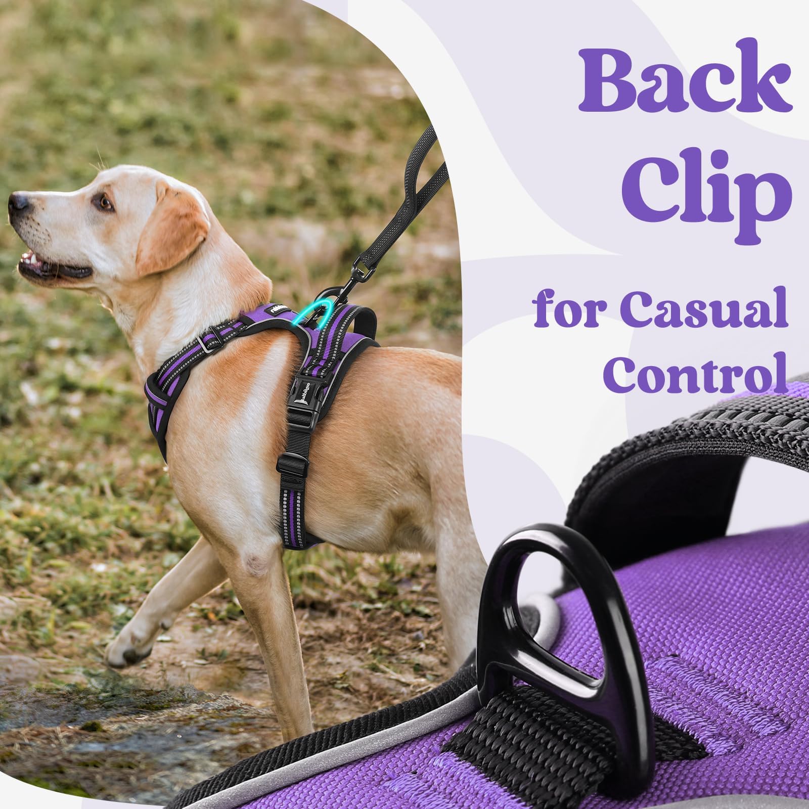 Rabbitgoo breathable air mesh keeps dogs cool during activity.