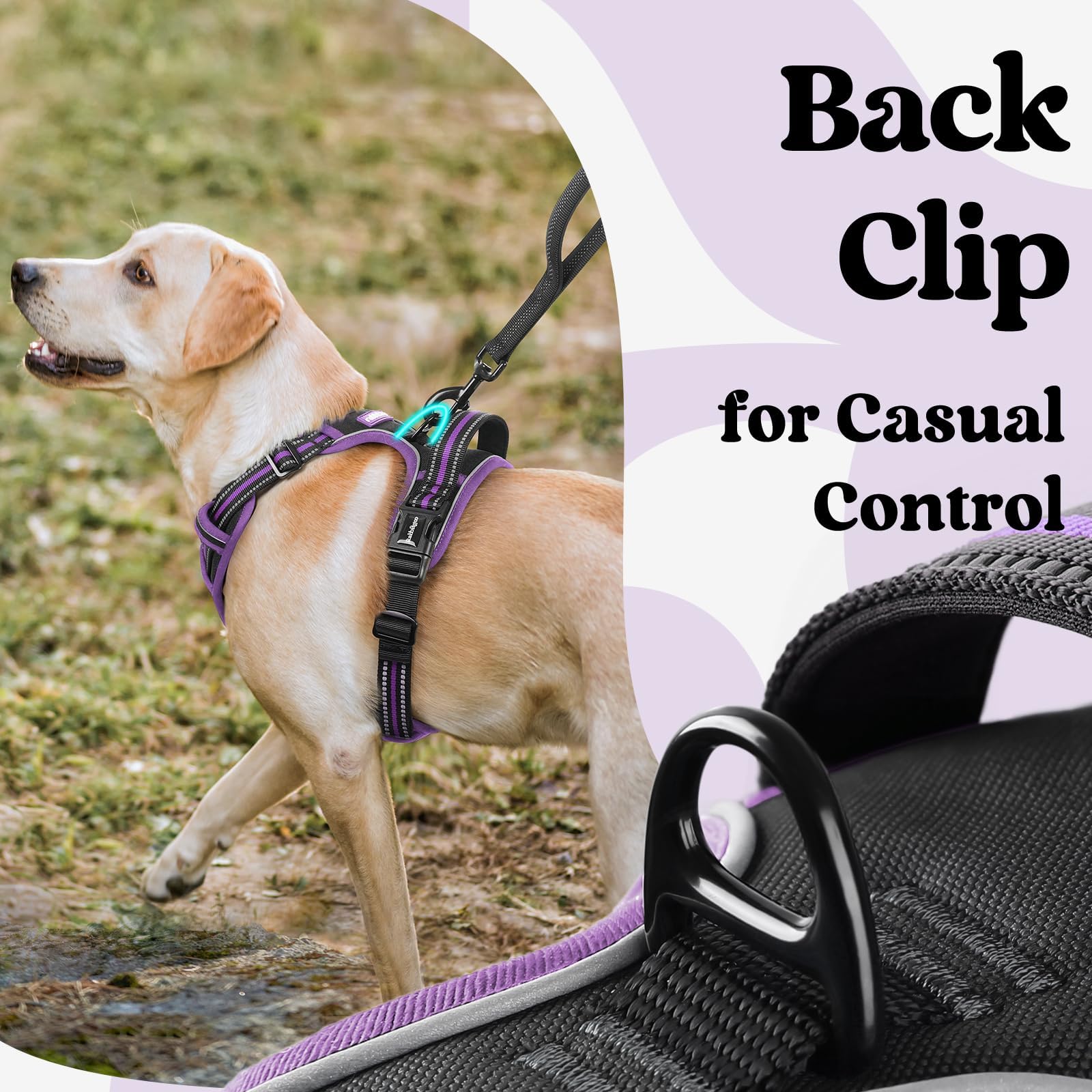 Rabbitgoo breathable air mesh keeps dogs cool on sunny outings.