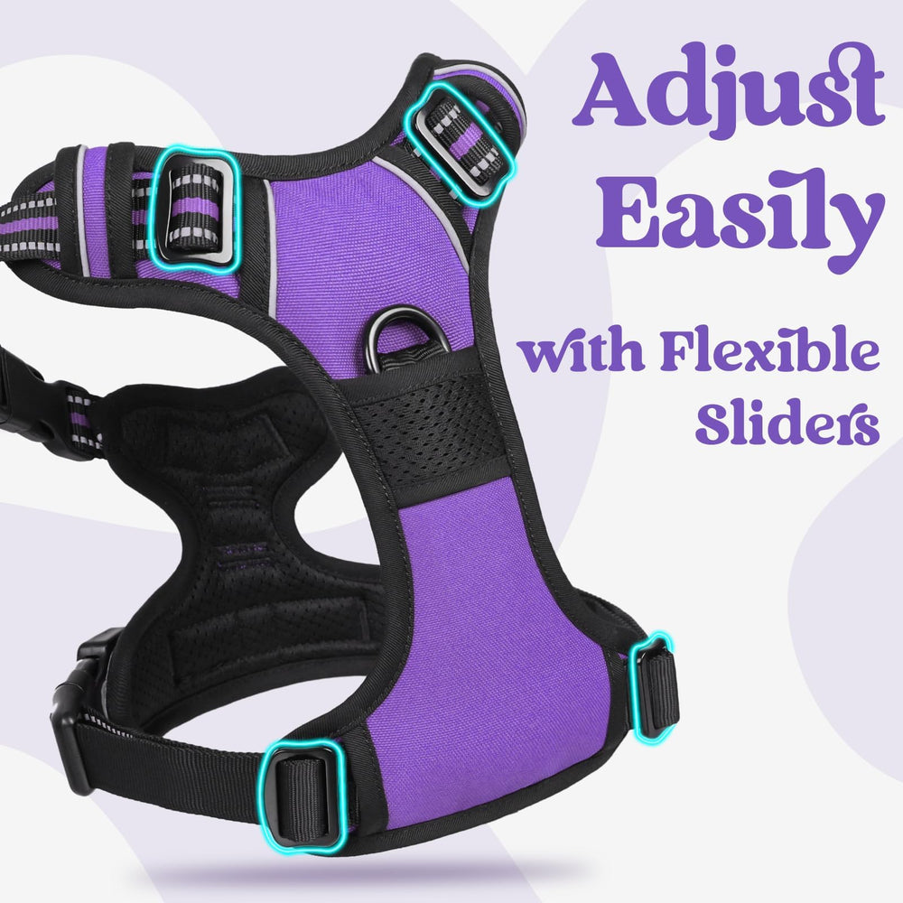 Rabbitgoo control handle provides safe lifting and training support.