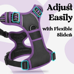 Rabbitgoo control handle supports gentle lifting and training moments.