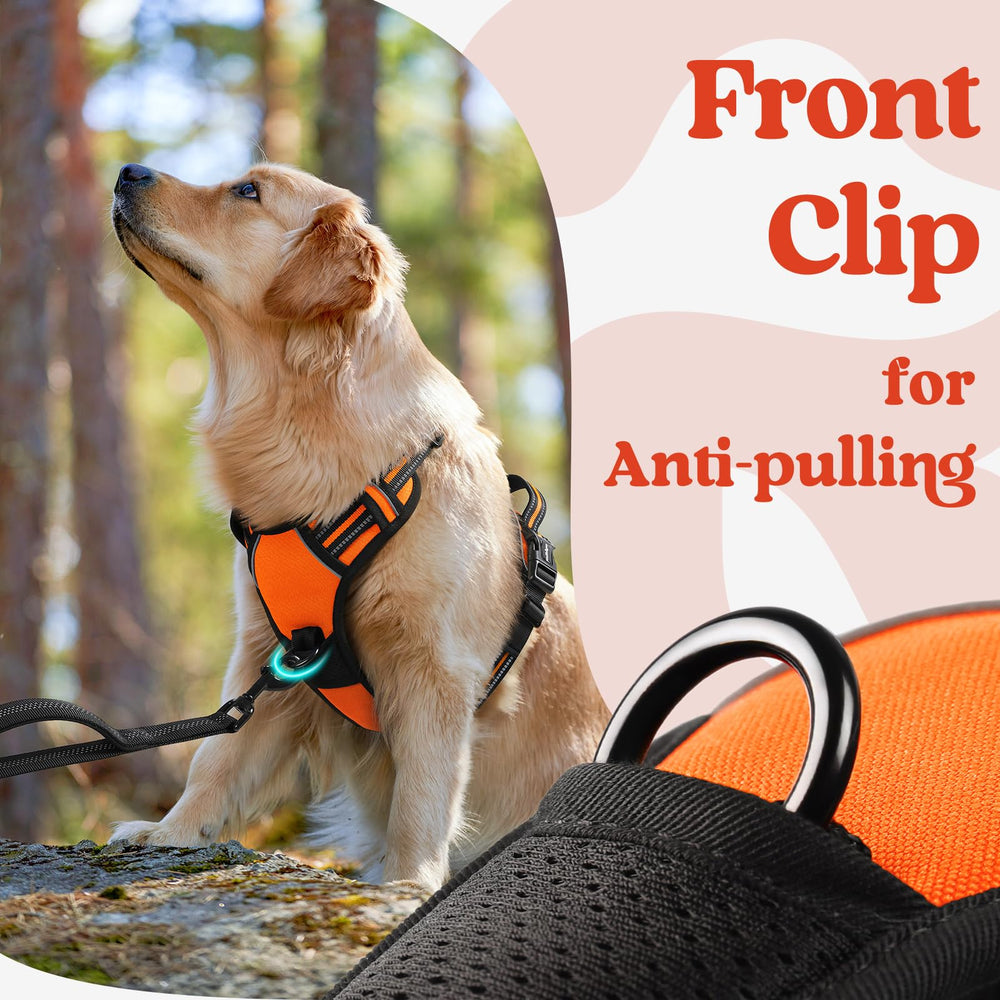 Rabbitgoo dual leash attachments support versatile walking setups.