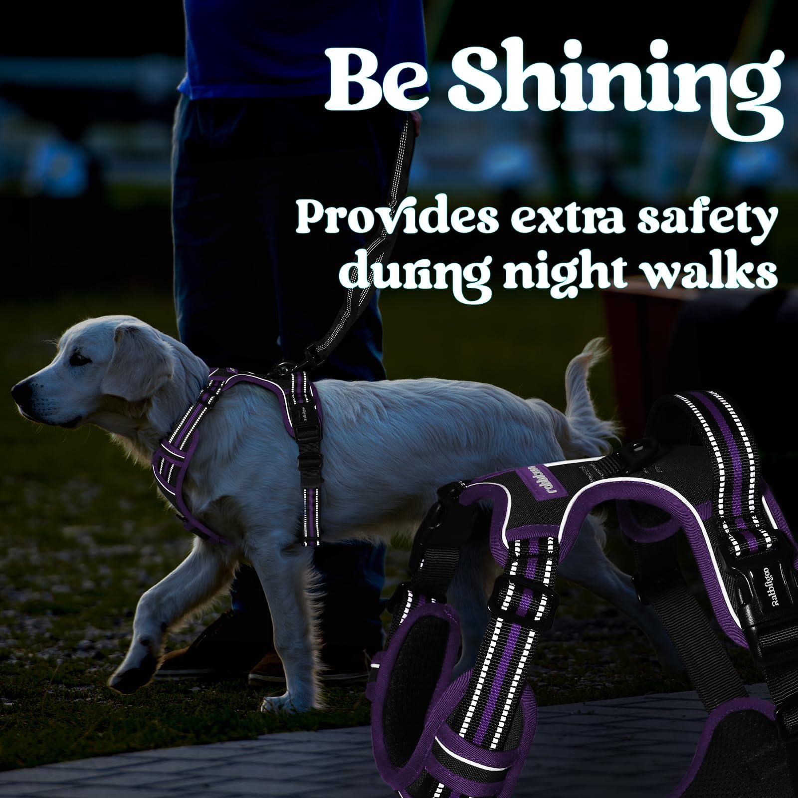 Rabbitgoo ergonomic design reduces strain for dog and owner.