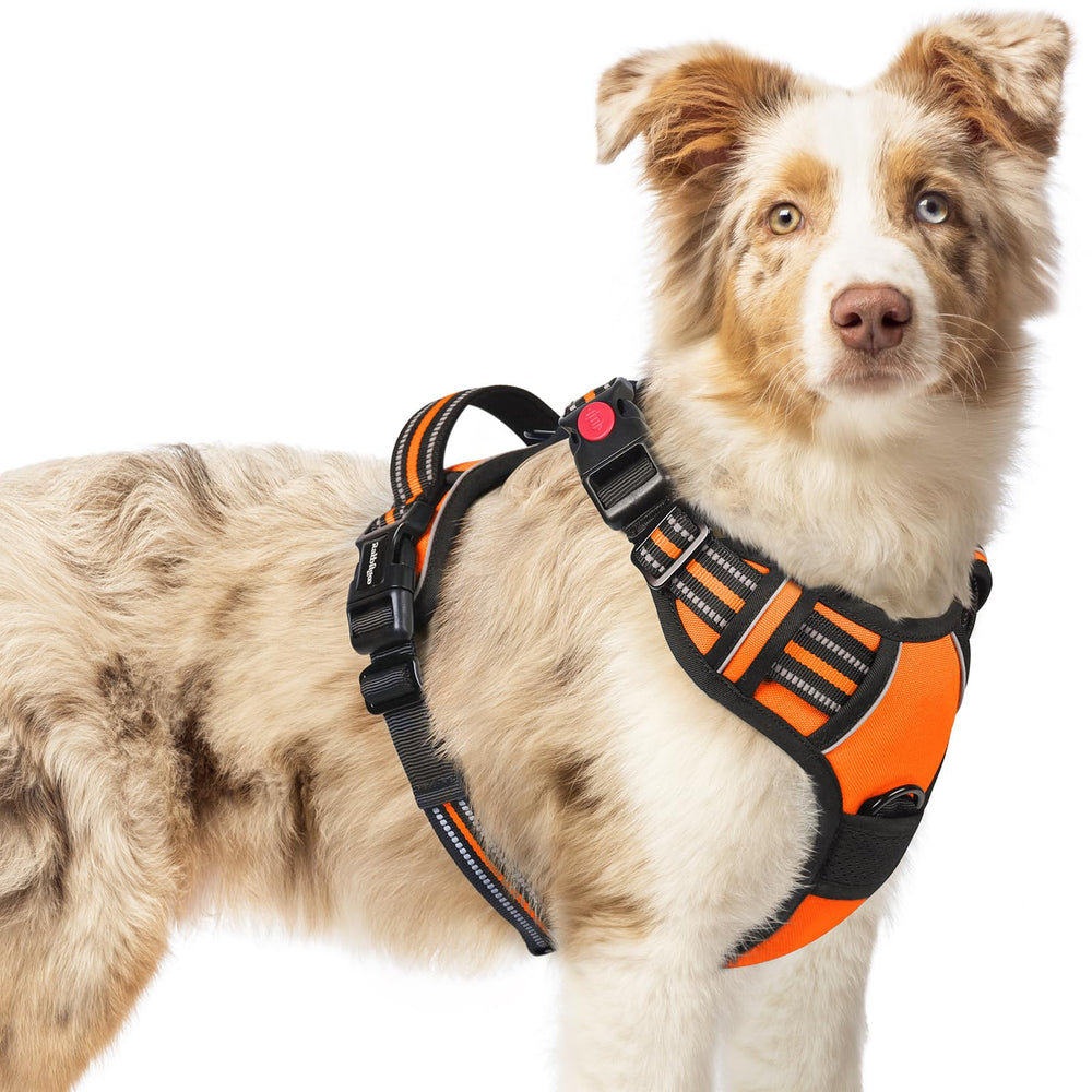 Rabbitgoo medium dog harness front view with three buckles for quick, secure on/off.