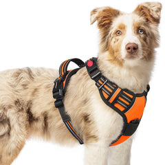 Rabbitgoo medium dog harness front view with three buckles for quick, secure on/off.