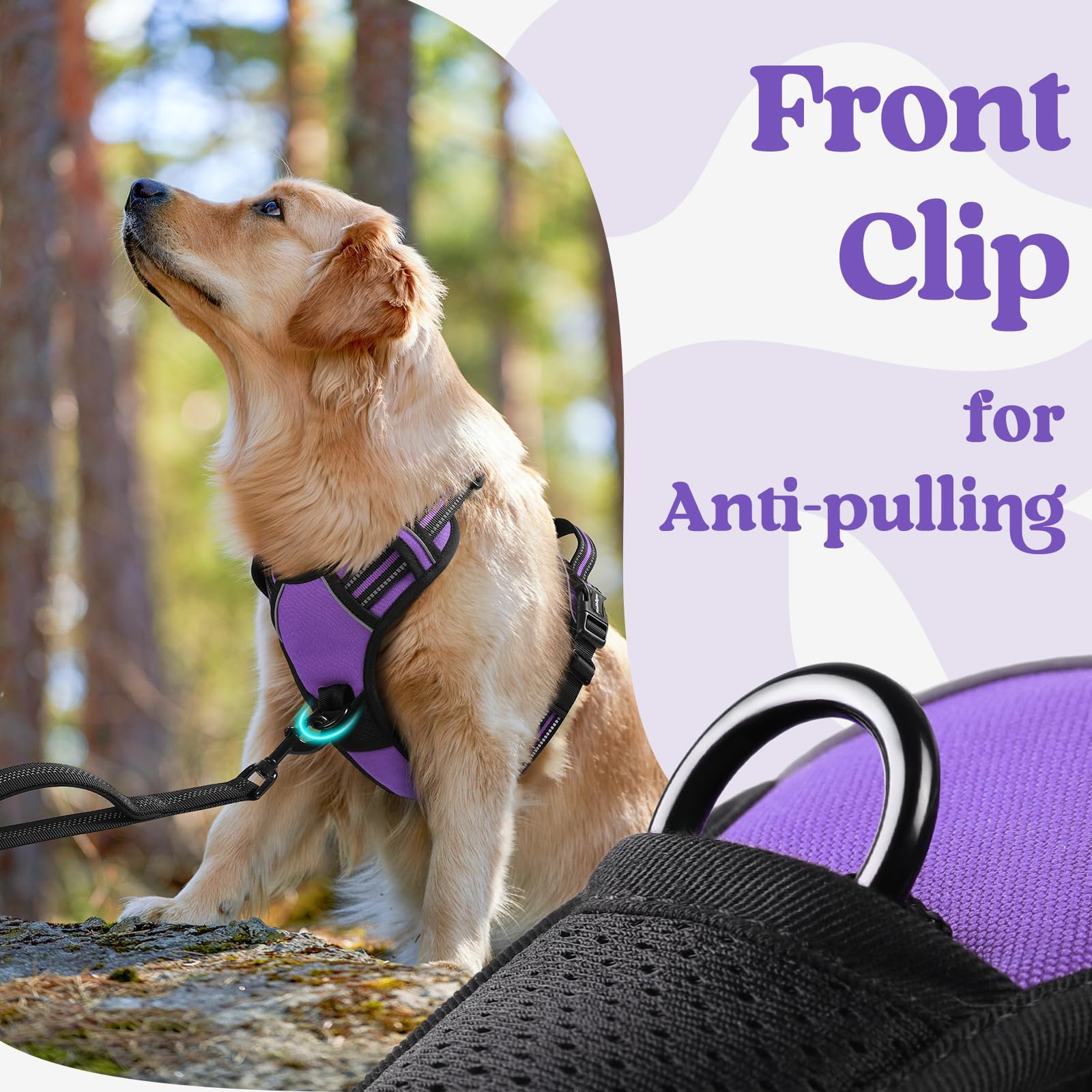 Rabbitgoo lockable neck buckle prevents accidental release.
