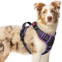 Rabbitgoo no-pull harness with 3 buckles for quick, secure on-the-go walks.