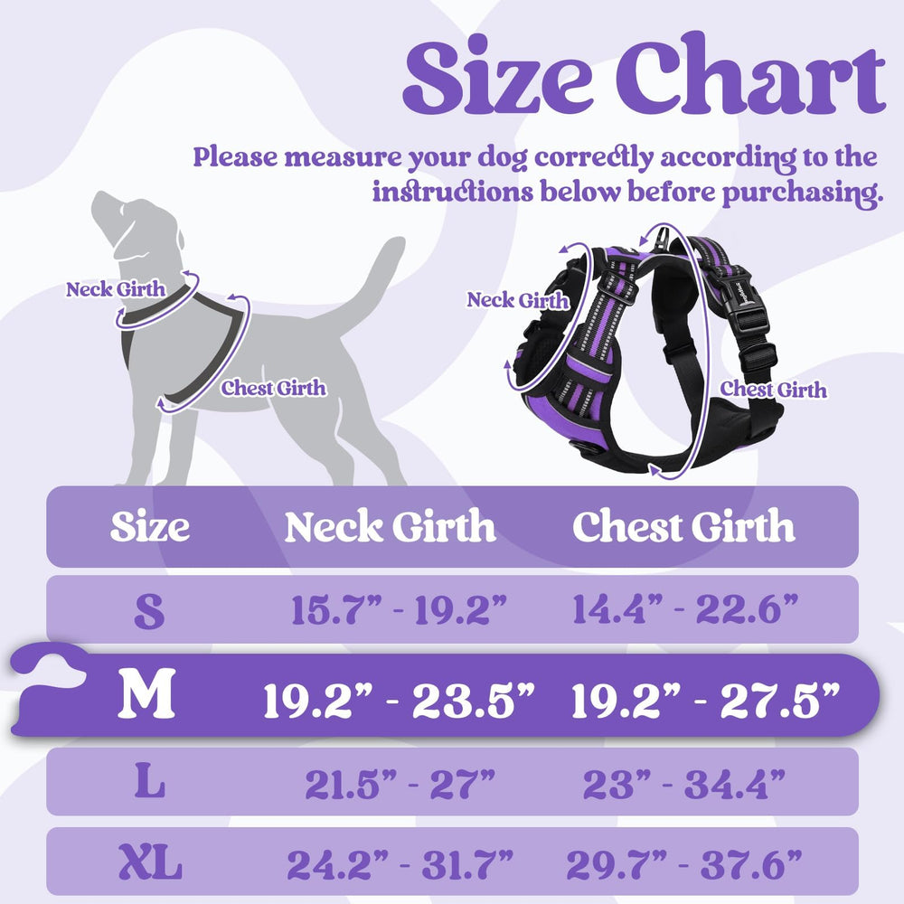 Rabbitgoo no-pull design helps guide you during walks.