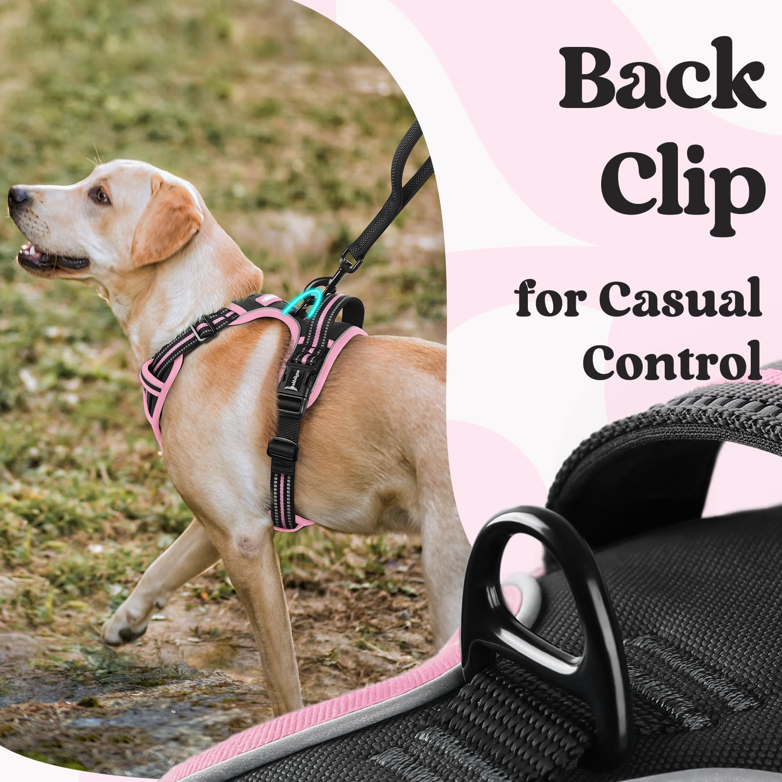 Rabbitgoo harness medium has padded cushions for comfortable wear.