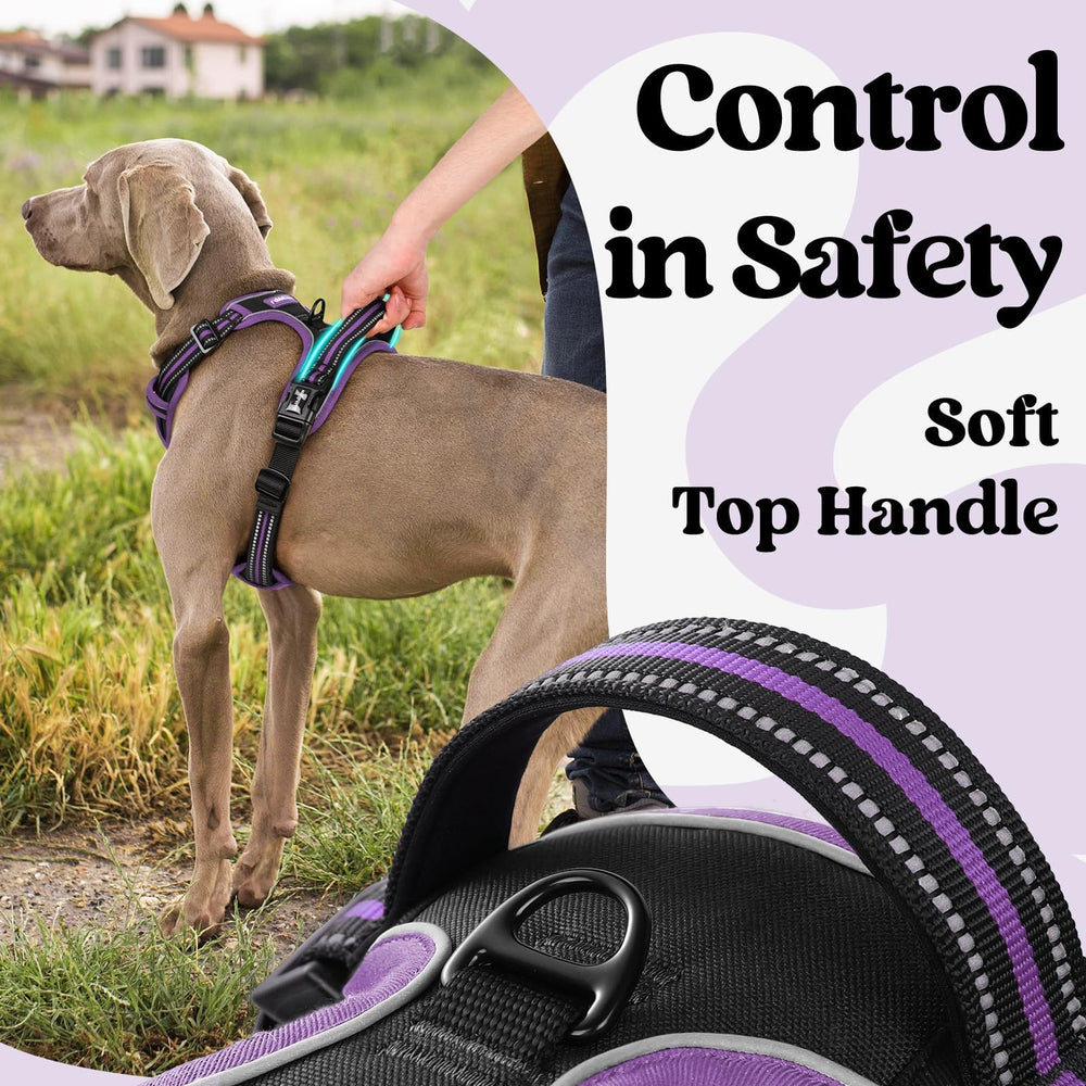 Rabbitgoo reflective stitching enhances visibility during evening walks.