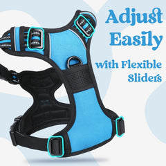 Rabbitgoo dog harness reflective stitching boosts visibility for nighttime outings.