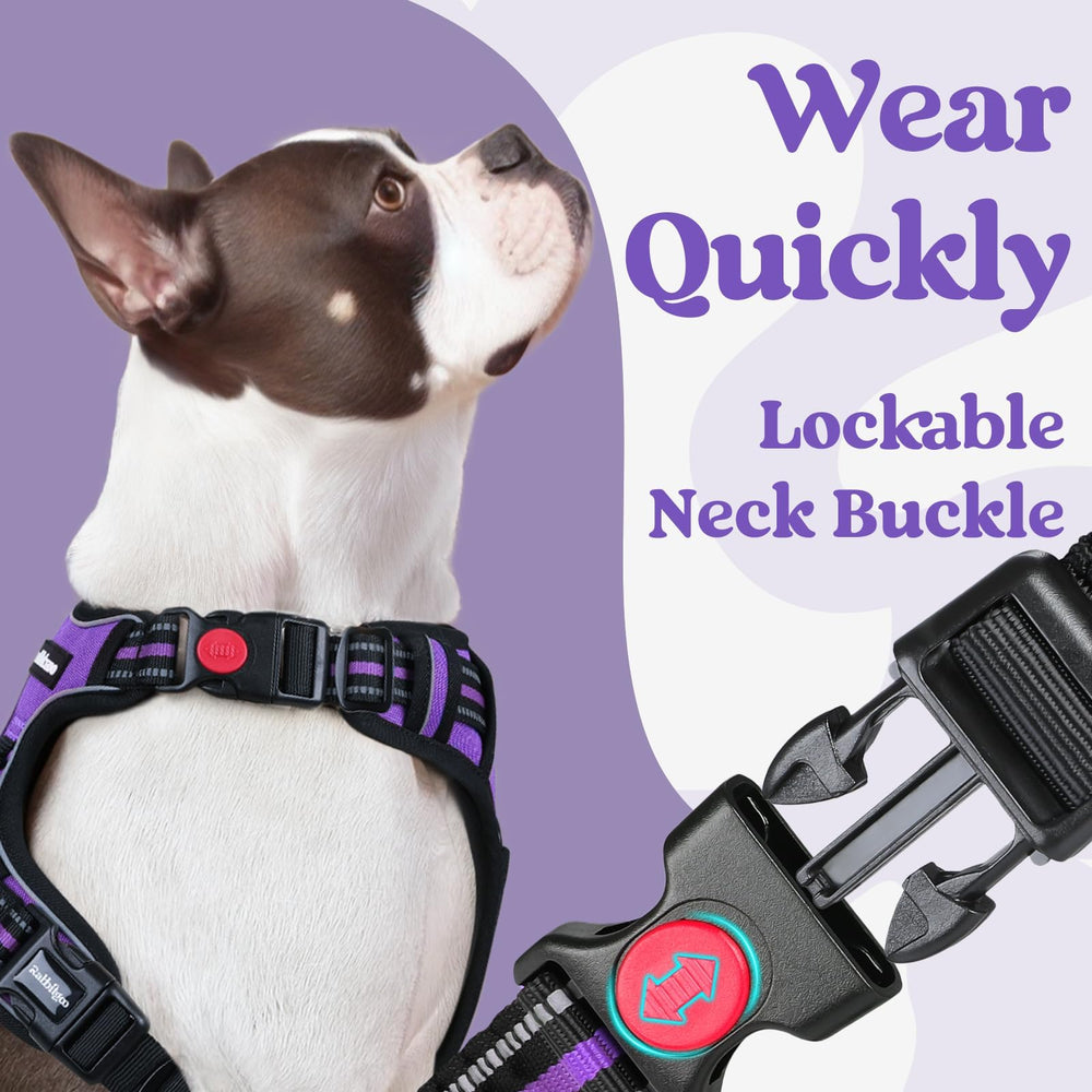 Rabbitgoo soft padded vest keeps medium dogs comfortable all day.