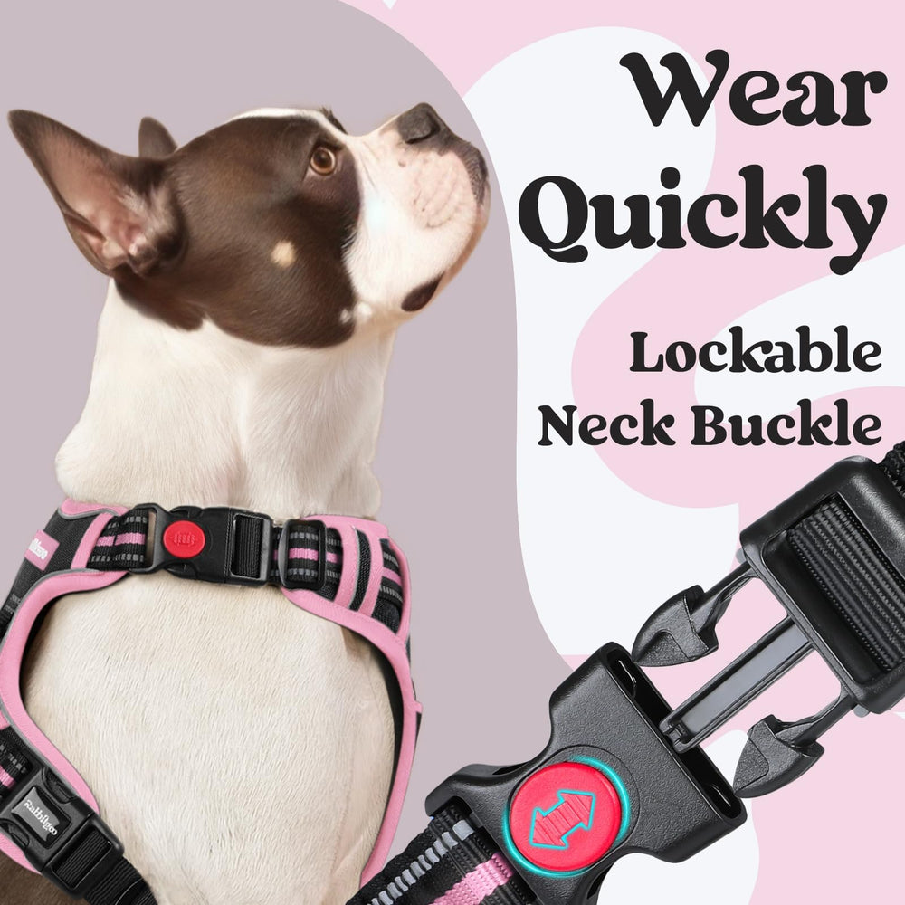 Rabbitgoo harness medium with three quick-release buckles for easy, slip-free wearing.