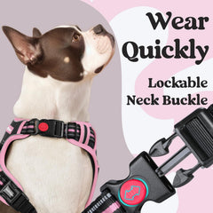 Rabbitgoo harness medium with three quick-release buckles for easy, slip-free wearing.