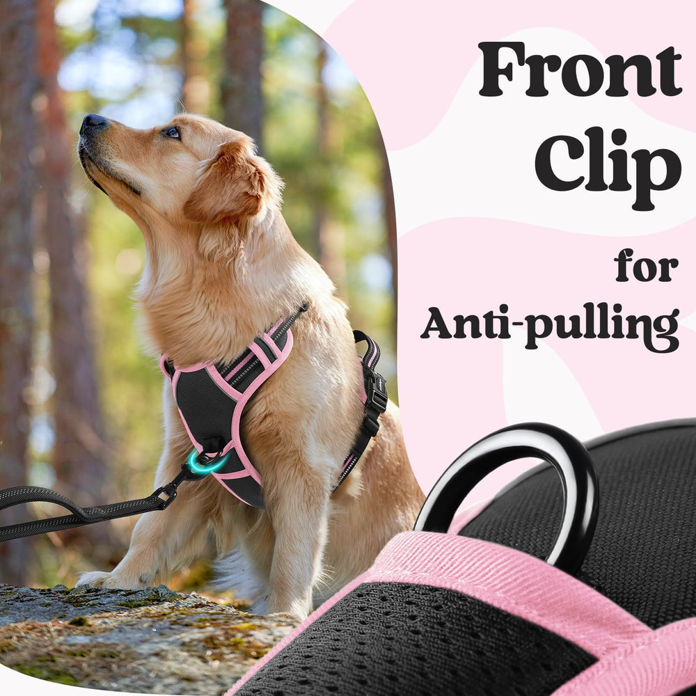 Rabbitgoo harness medium includes a top handle for quick control.