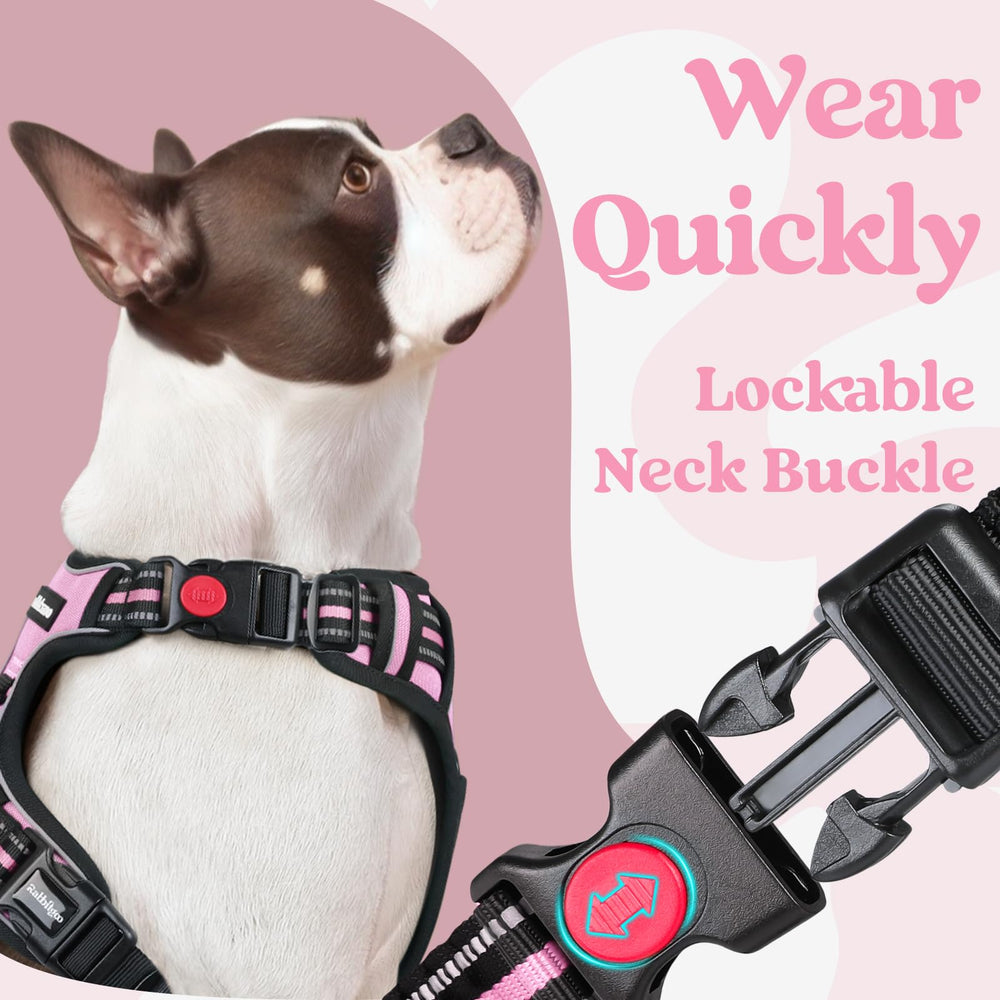 Rabbitgoo reflective stitching boosts visibility during night walks.