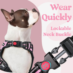 Rabbitgoo reflective stitching boosts visibility during night walks.