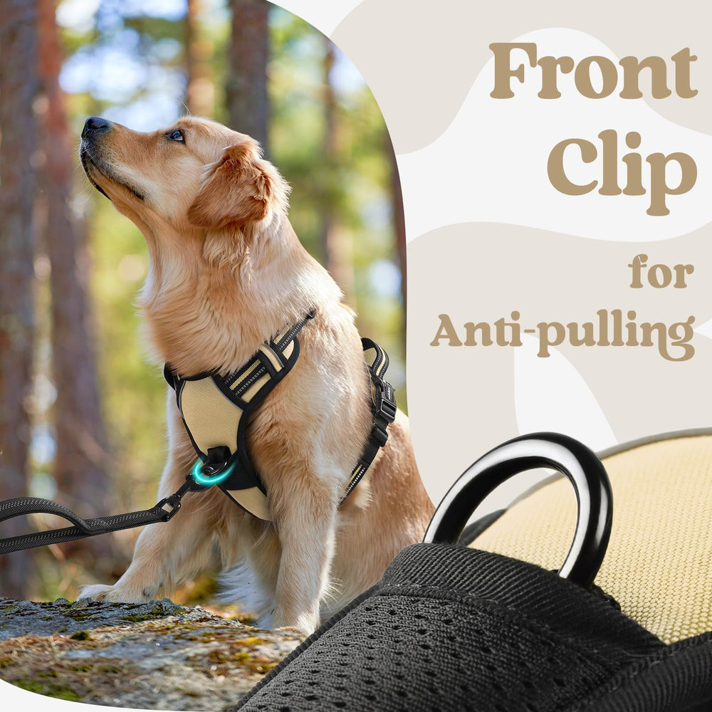 Rabbitgoo neck buckle is lockable to prevent accidental release.