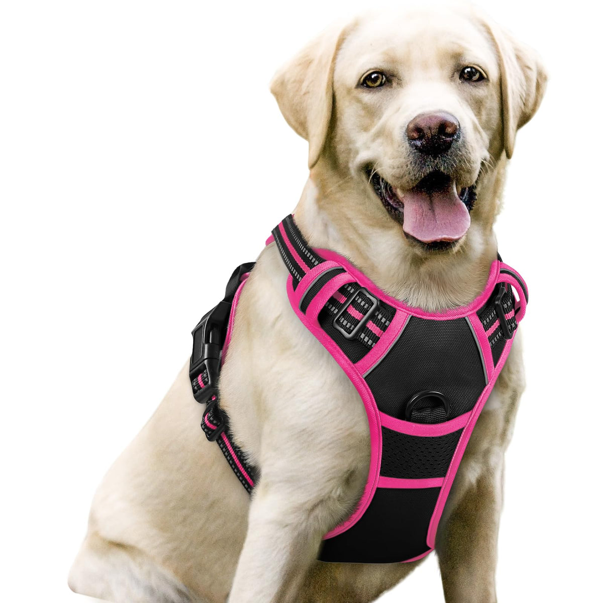 Rabbitgoo dog harness with no-pull design and dual leash clips for safer walks