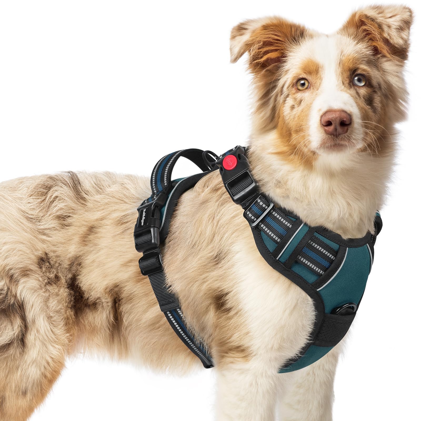 Rabbitgoo dog harness no-pull with 3 buckles for easy on/off during walks