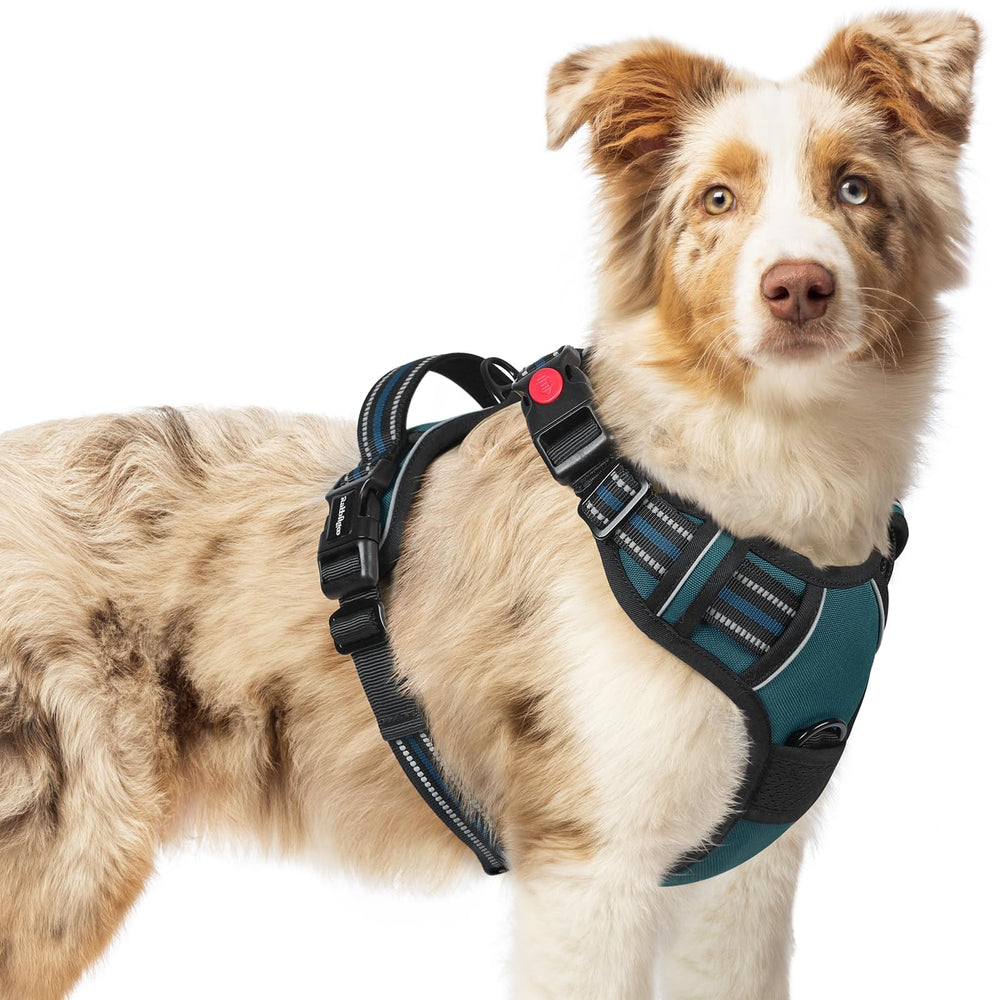 Rabbitgoo dog harness no-pull with 3 buckles for easy on/off during walks