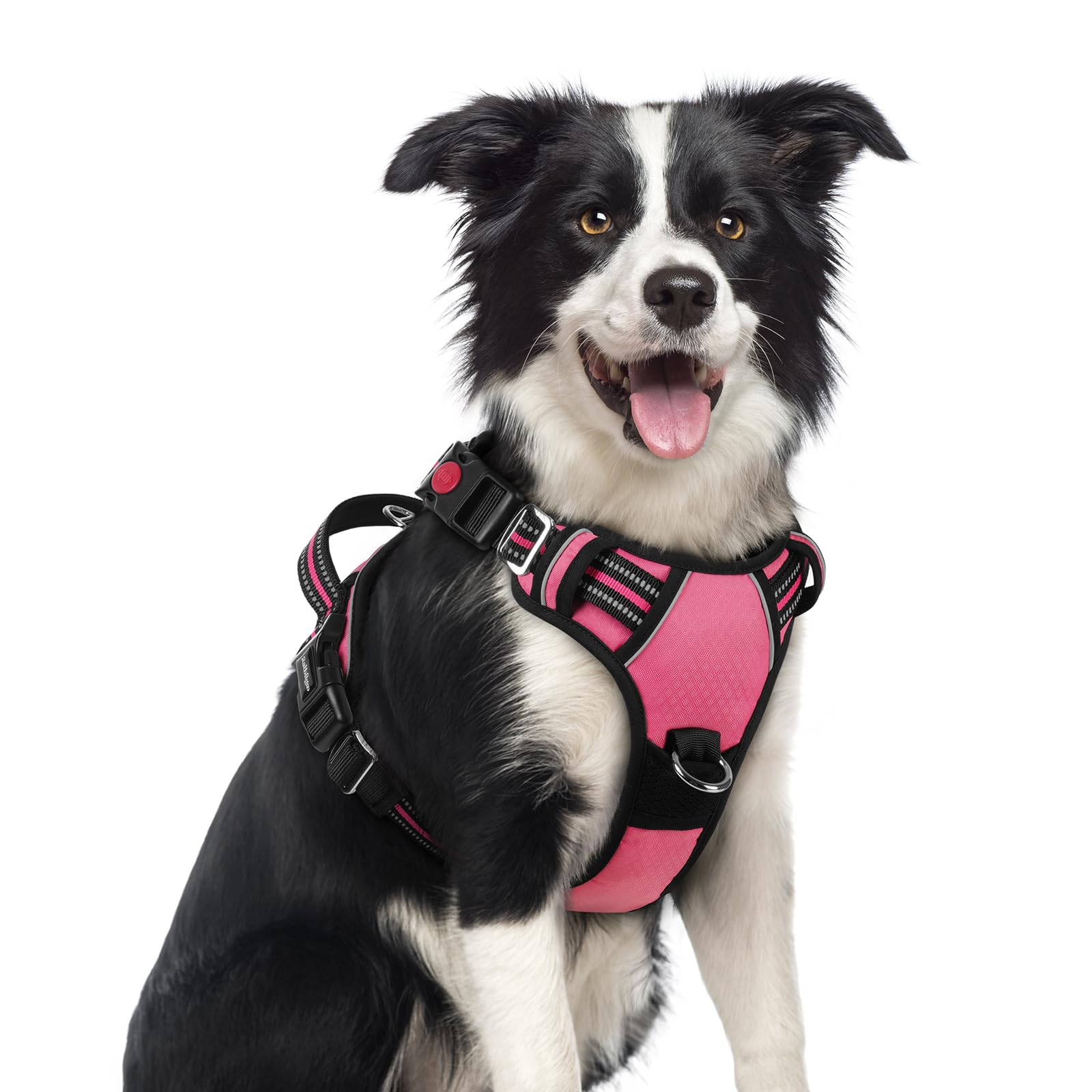 Rabbitgoo no-pull harness with three buckles for quick fitting