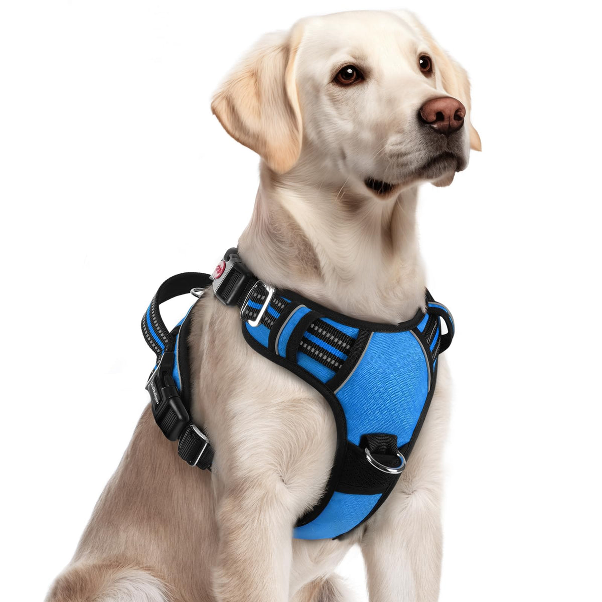 Rabbitgoo no-pull dog harness with 3-buckle design for easy on-off during walks