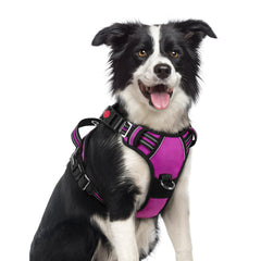 Rabbitgoo no-pull harness with three-buckles design for quick on-off during walks