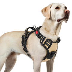 Rabbitgoo dog harness with no-pull 3-buckle design for easy daily on-off