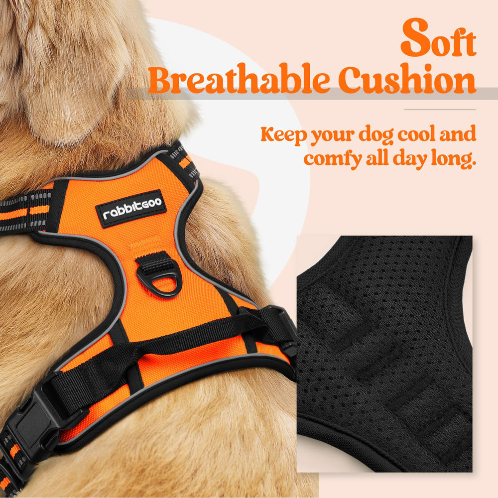 Rabbitgoo no-pull harness back clip and reflective panels for night visibility