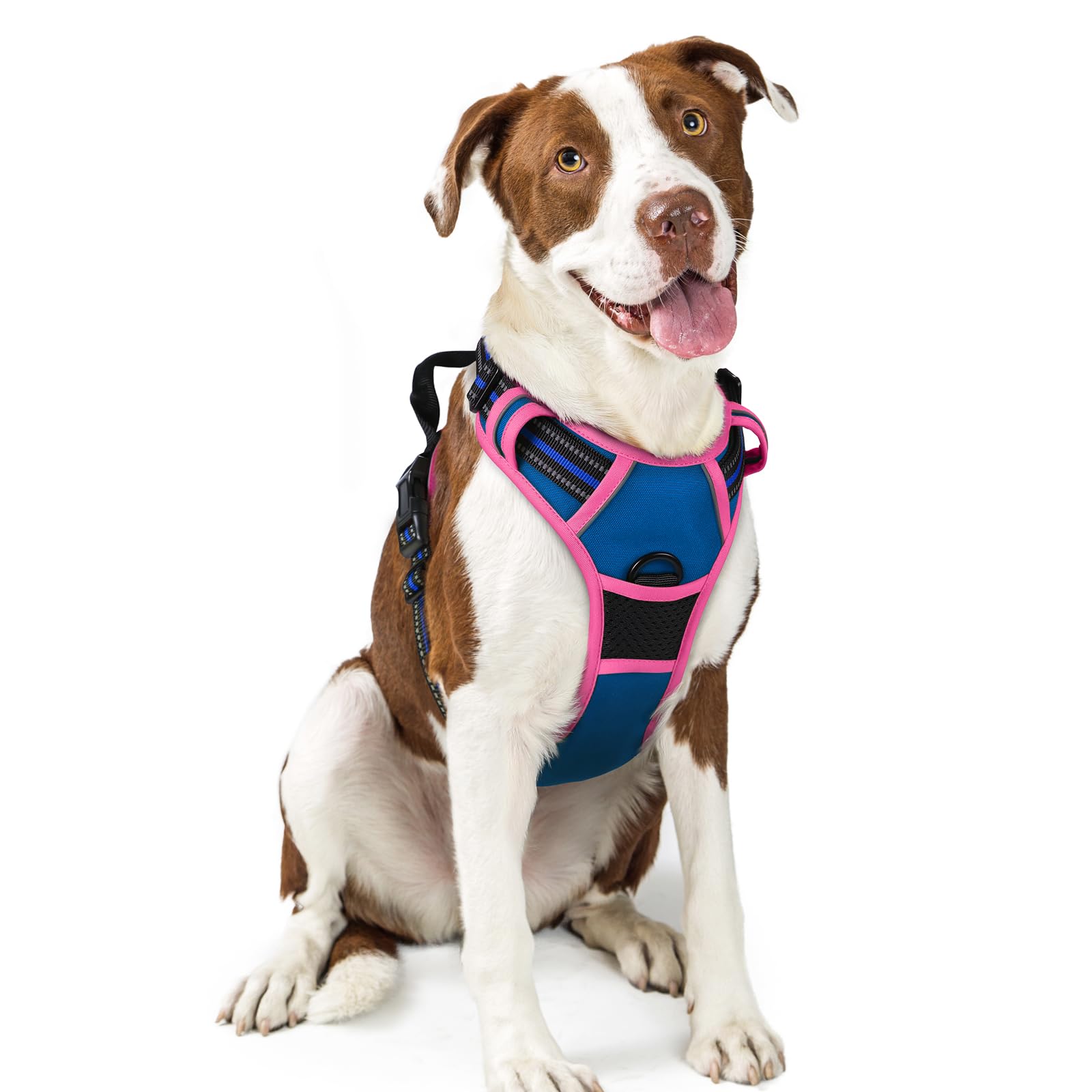 Rabbitgoo dog harness overview showing no pull design