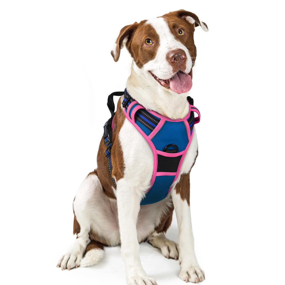 Rabbitgoo dog harness overview showing no pull design